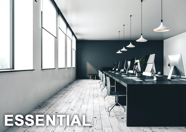 essential-audit-600x425